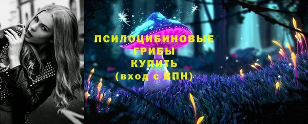 мдма Бородино